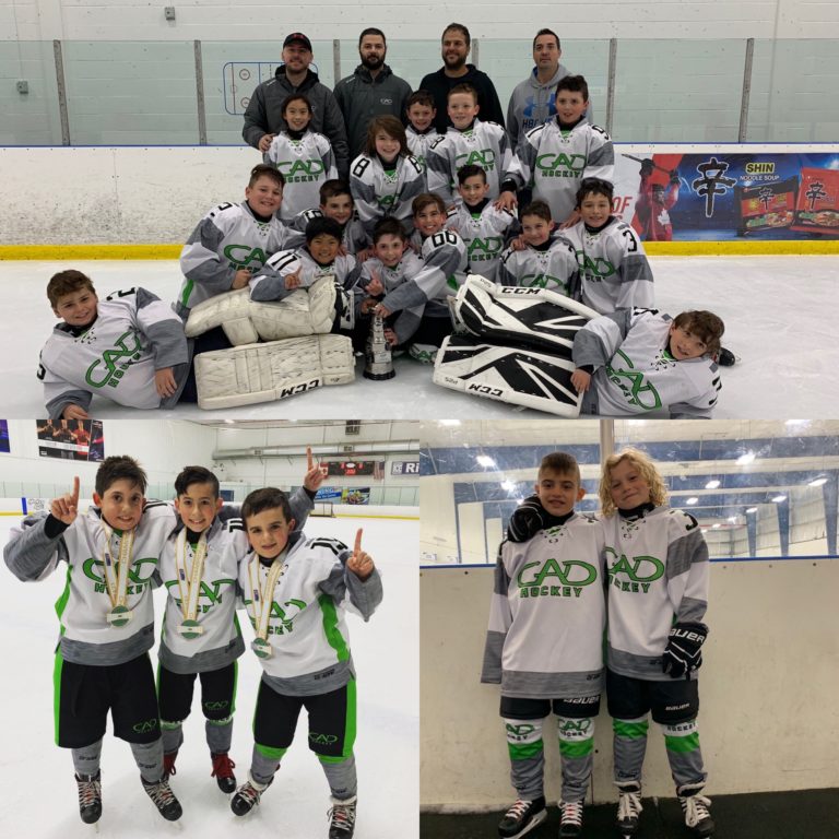 Spring Hockey Teams Toronto Champion Hockey