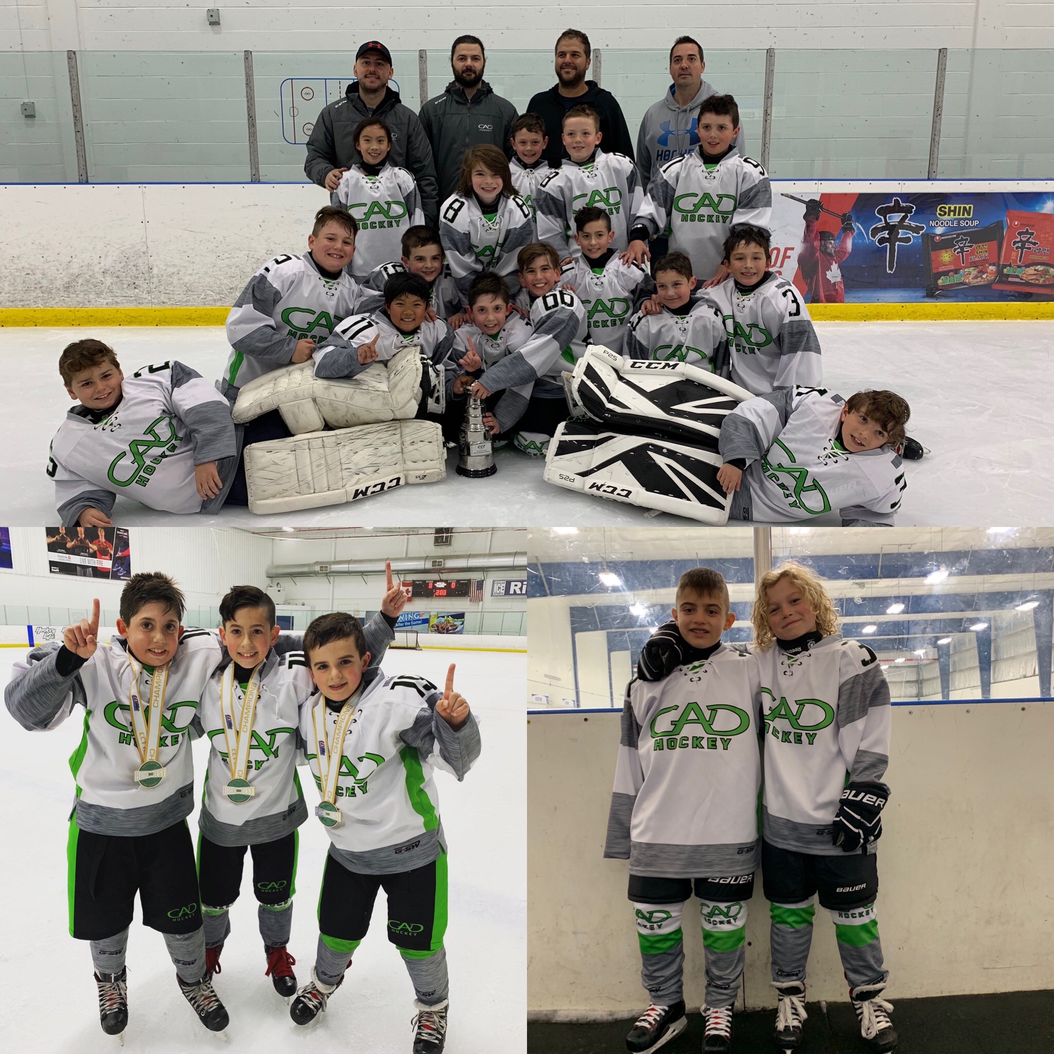 Spring Hockey Teams Toronto Champion Hockey